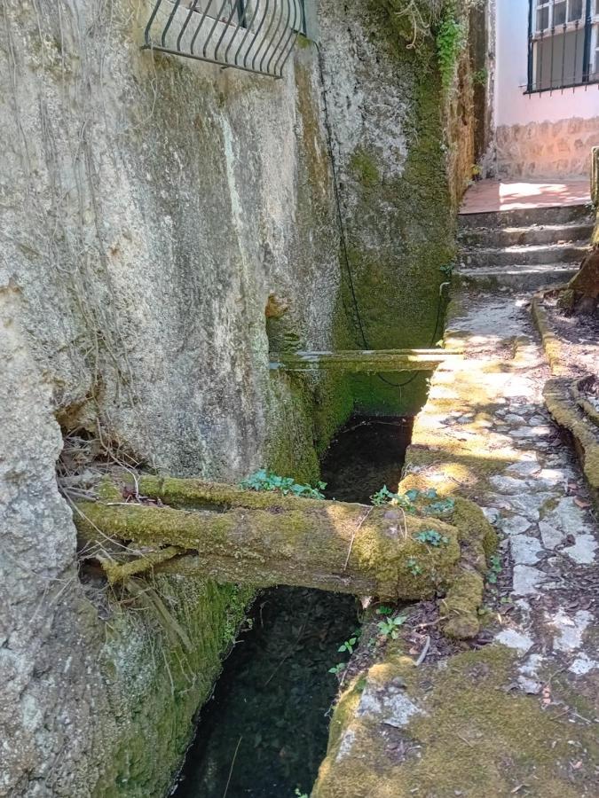 Retiro D'Azenha Villa Almoster Eksteriør bilde